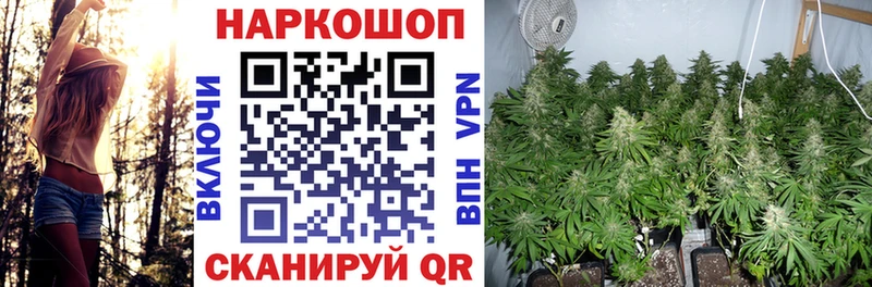 Где найти наркотики Сим ГАШИШ АМФ Кокаин МЕФ Канабис