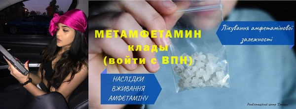 сатива Пересвет