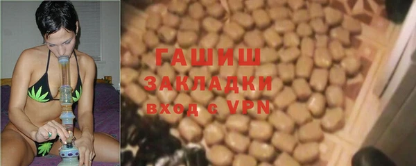 хмурый Алзамай