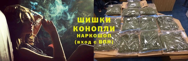 хмурый Алзамай